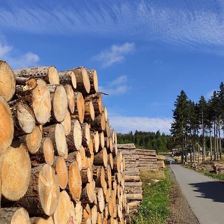 Ferienwohnung Harz Blick Braunlage Exterior foto