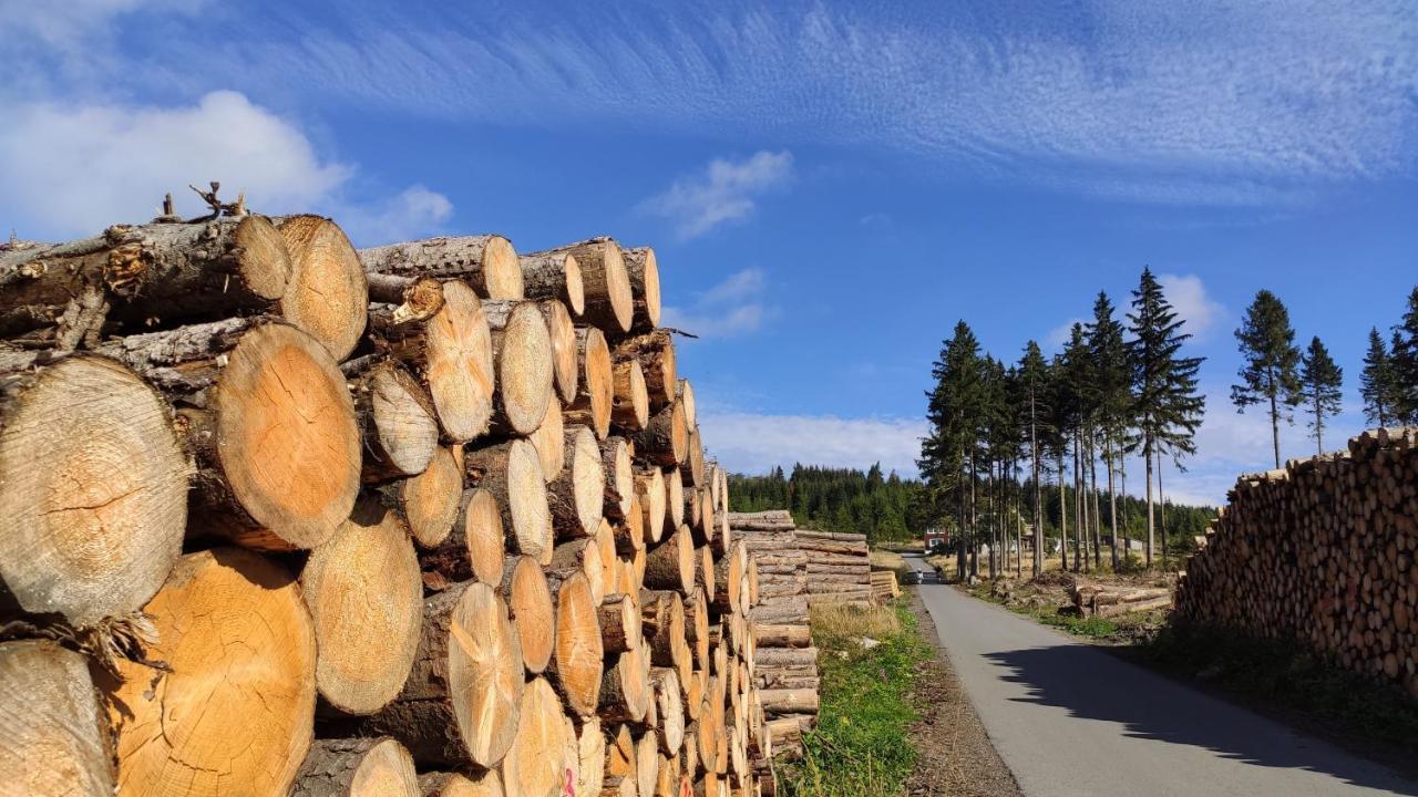 Ferienwohnung Harz Blick Braunlage Exterior foto