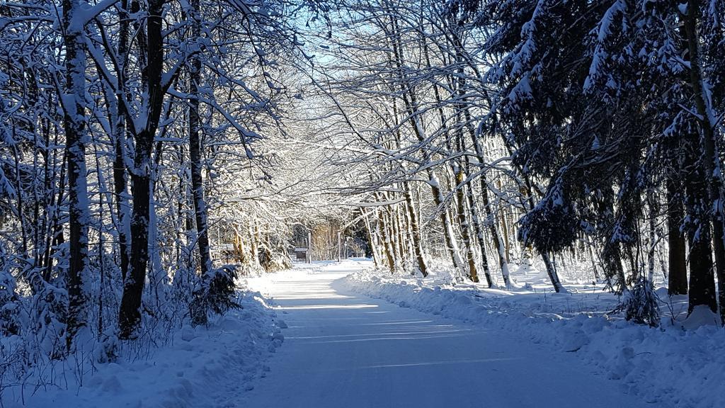 Ferienwohnung Harz Blick Braunlage Exterior foto