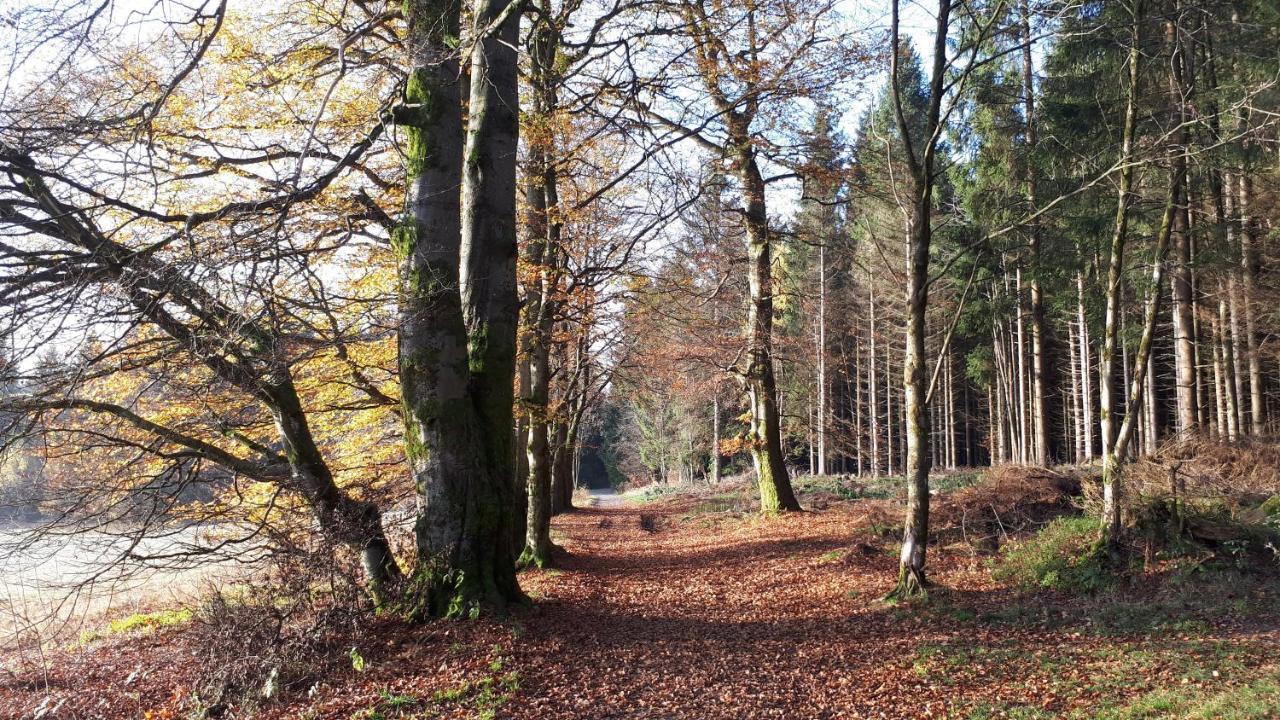 Ferienwohnung Harz Blick Braunlage Exterior foto